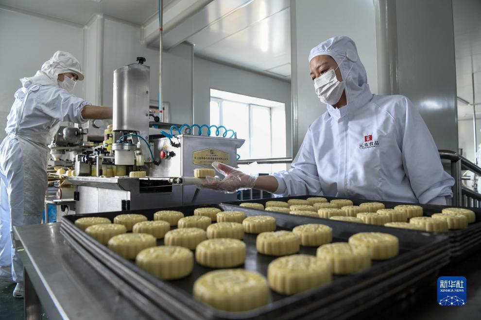 金冠官网的网址